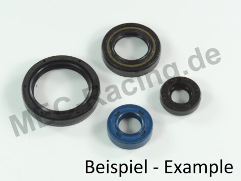 80 MBX/MTX (alle) Honda Sirisatz wassergek.