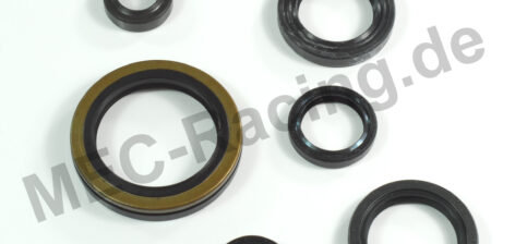 Athena Simmerringsatz (10401)