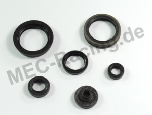 Athena Simmerringsatz (10634)