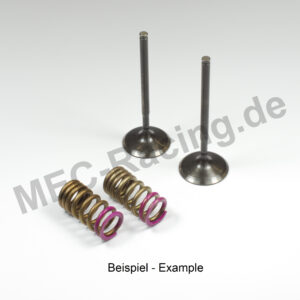 Prox Ventil-Kit (28.SES6334-A1)