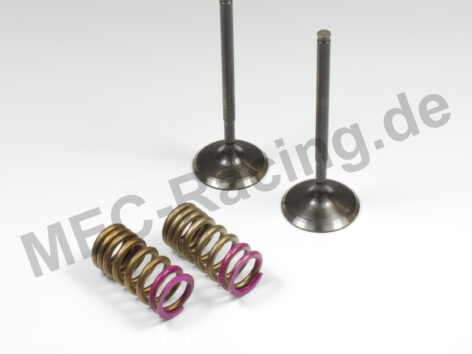 Prox Ventil-Kit (28.SES6351-A1)