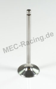 Einlass Ventil (623-E1)