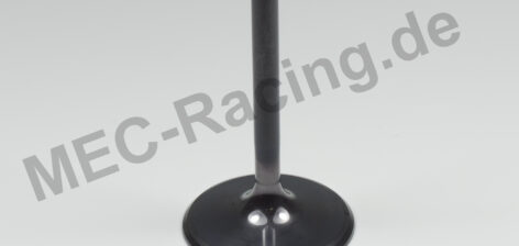 Vertex Ventil (8400019-A1)