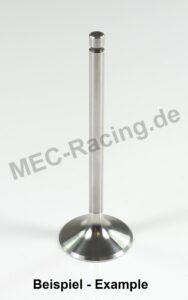 Vertex Ventil (8400038-A1)