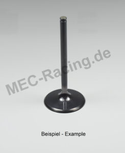 Vertex Ventil (8400043-E2)