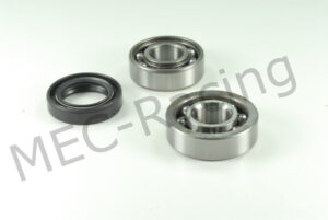 Hot Rods Ausgleichs-Wellenlager (BBK0029)