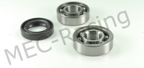 Hot Rods Ausgleichs-Wellenlager (BBK0029)