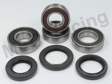 Pivot Works Radlagersatz (PWRWK-G01-001)