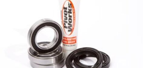 Pivot Works Radlagersatz (PWRWK-S22-400)