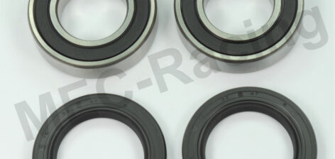 Pivot Works Radlagersatz (PWRWK-T04-521)