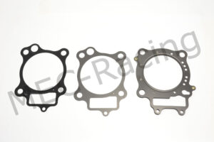 Athena Race Dichtsatz (R2106-095)