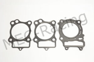 Athena Race Dichtsatz (R2106-202)