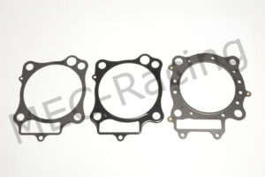 Athena Race Dichtsatz (R2106-209)