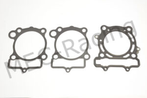 Athena Race Dichtsatz (R2506-016)
