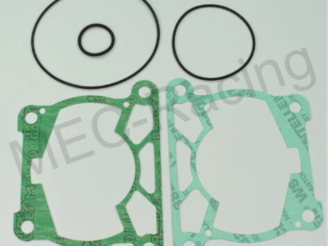 Athena Race Dichtsatz (R2706-097)