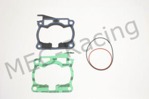 Athena Race Dichtsatz (R4856-116)