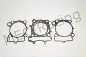 Athena Race Dichtsatz (R5106-050)