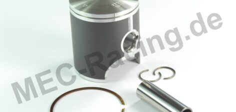 Original TM Kolben (V10089)